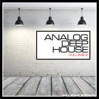 Analog Deep House 2